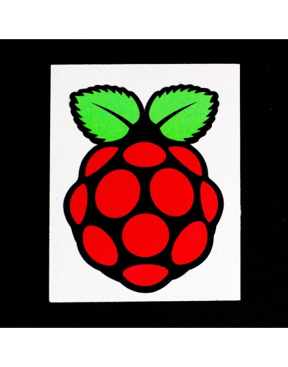 Raspberry Pi logo large sticker set of 6