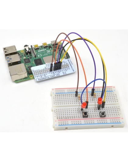 Project Box 1 for Raspberry Pi 