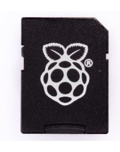 Raspberry Pi Micro SD to SD Adapter 