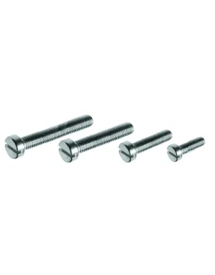 Machine screw cheese head slot M2.5x4 ST/ST 304
