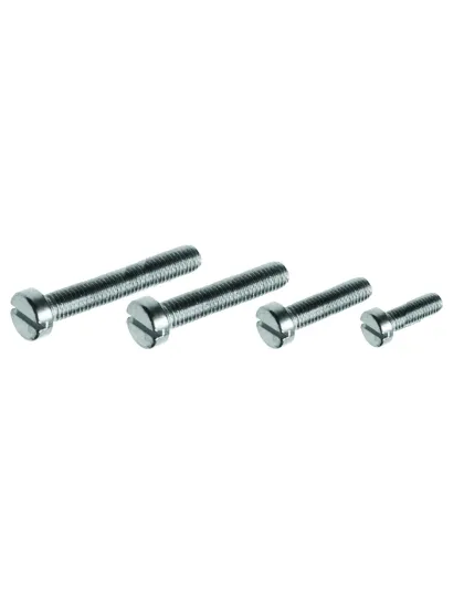 Machine screw cheese head slot M2.5x4 ST/ST 304