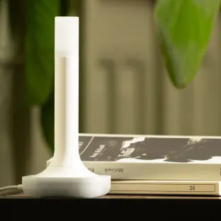 Home Assistant Connect ZBT-2