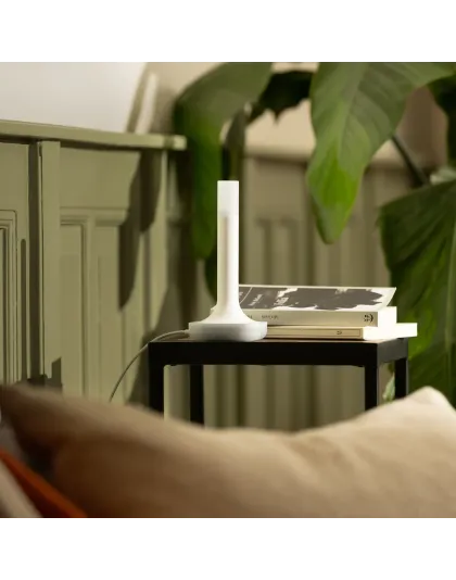 Home Assistant Connect ZBT-2